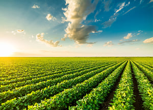 Polyaspartic Agronomy Polyaspartic Agronomy