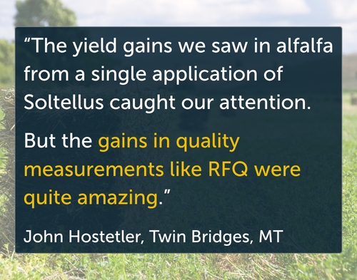 Alfalfa testimonial quote