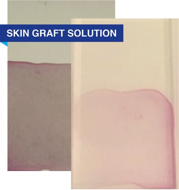 Cleaning fish oil, dog chews, skin graft solution