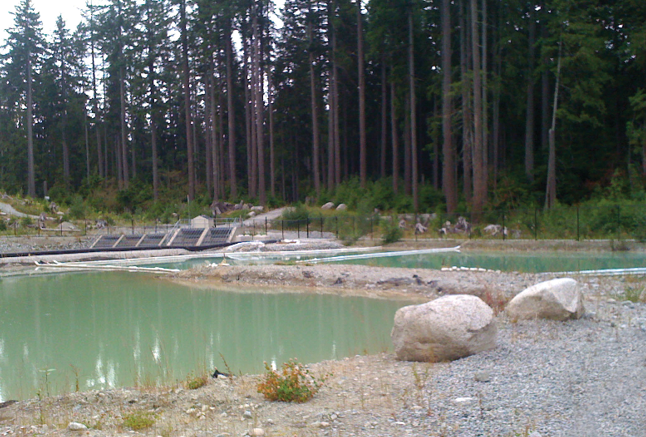Stormwater