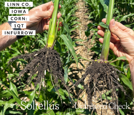 Soltellus-Linn-Corn-Trial-Infurrow