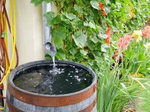 WT Resolutions Article Rain Barrel