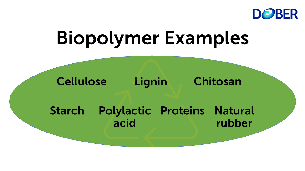 Biopolymers Are Made Of Green Materials That Are Generated By What Are Biopolymers?