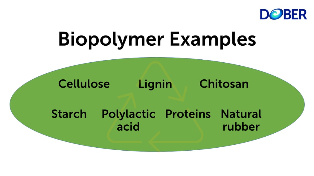 What Are Biopolymers?