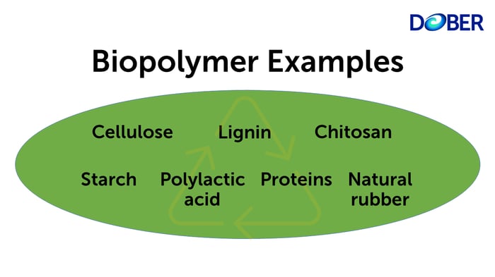 biopolymer examples