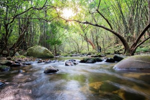 HK_Environmental Remediation