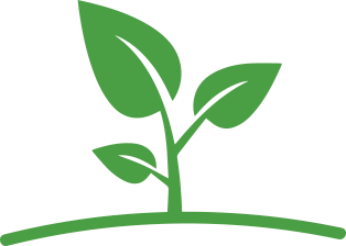 Leaf Leaf