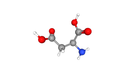 L-aspartic acid molecular model