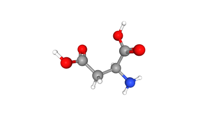 L-aspartic acid molecular model