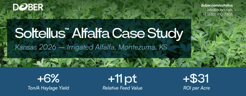 Case Studies